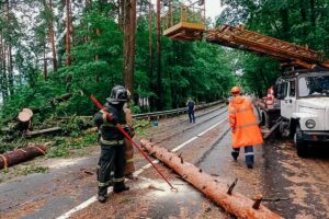 Как Петербург пережил шторм. Показываем поваленные деревья, сорванную крышу и затопленные улицы